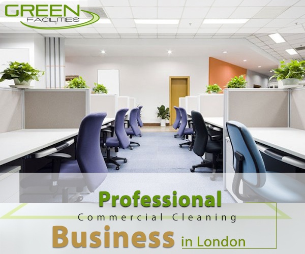 Professional Commercial Cleaning Business in London