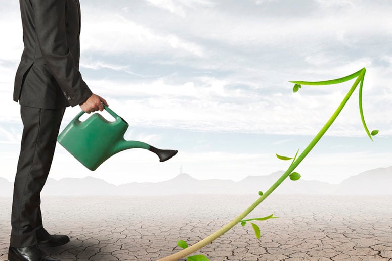 Is Your Business Really Green? 5 Ways To Tell