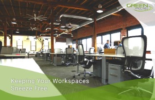 Keeping Your Workspaces Sneeze Free
