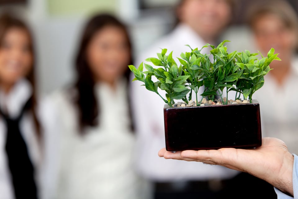 Business-man-holding-a-plant-at-the-office