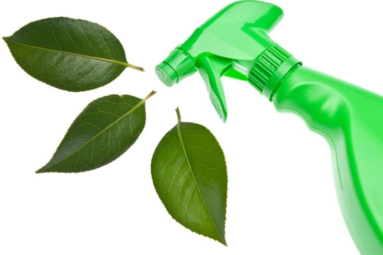 Eco Friendly Office Cleaning Products 