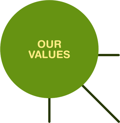 our-values-1