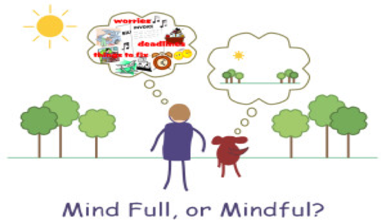 The Benefits of Mindfulness and Its Importance to Cleaning