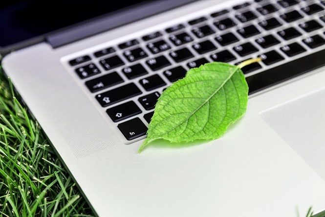 School Cleaning Service: Environmentally Friendly Methods